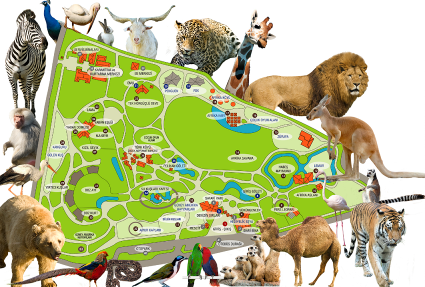 Bursa Hayvanat Bahçesi Giriş Ücreti 2026: Açılış ve Kapanış